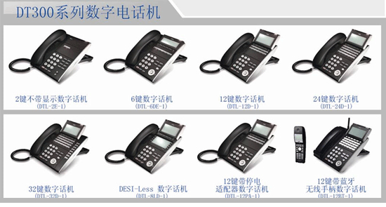 DT300 ���ֵ绰��